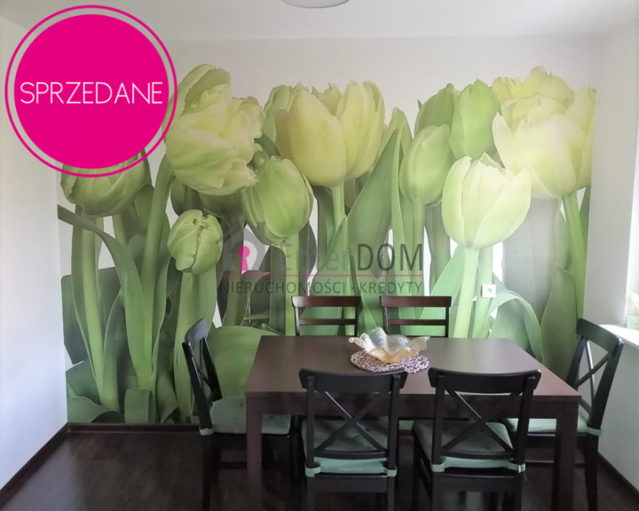 Mieszkanie Sprzedaż Krapkowice
